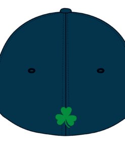 Alternative view of Richmond Hill | St. Patricks Caps